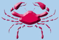 Zodiac Sign Cancer, the Crab