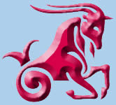Zodiac Sign Capricorn, the Sea Goat